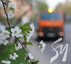 Чи почують прохання Масани? Чи почують прохання Масани?